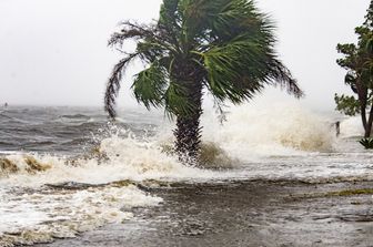 Uragano Michael in Florida&nbsp;