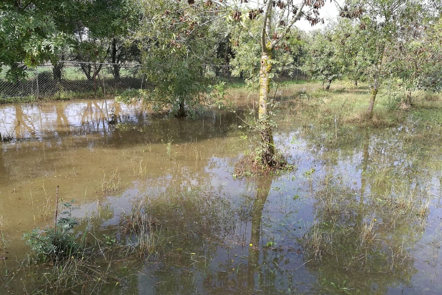 &nbsp;L'alluvione in Sardegna