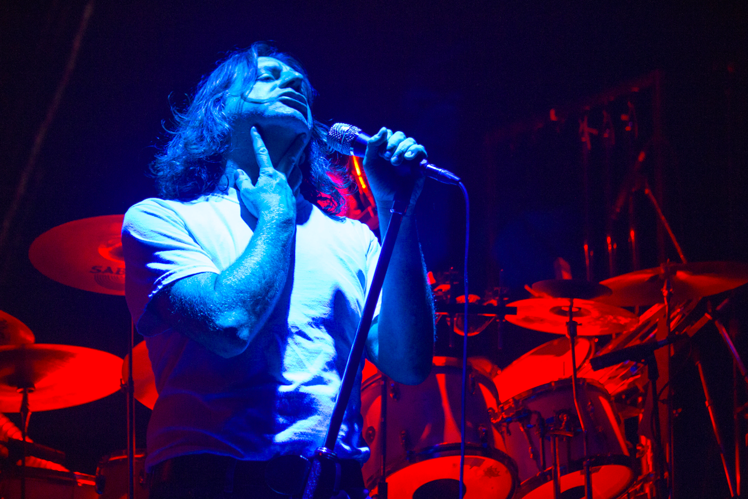 &nbsp;Denis Gagn&eacute;, cantante e polistrumentista dei Musical Box