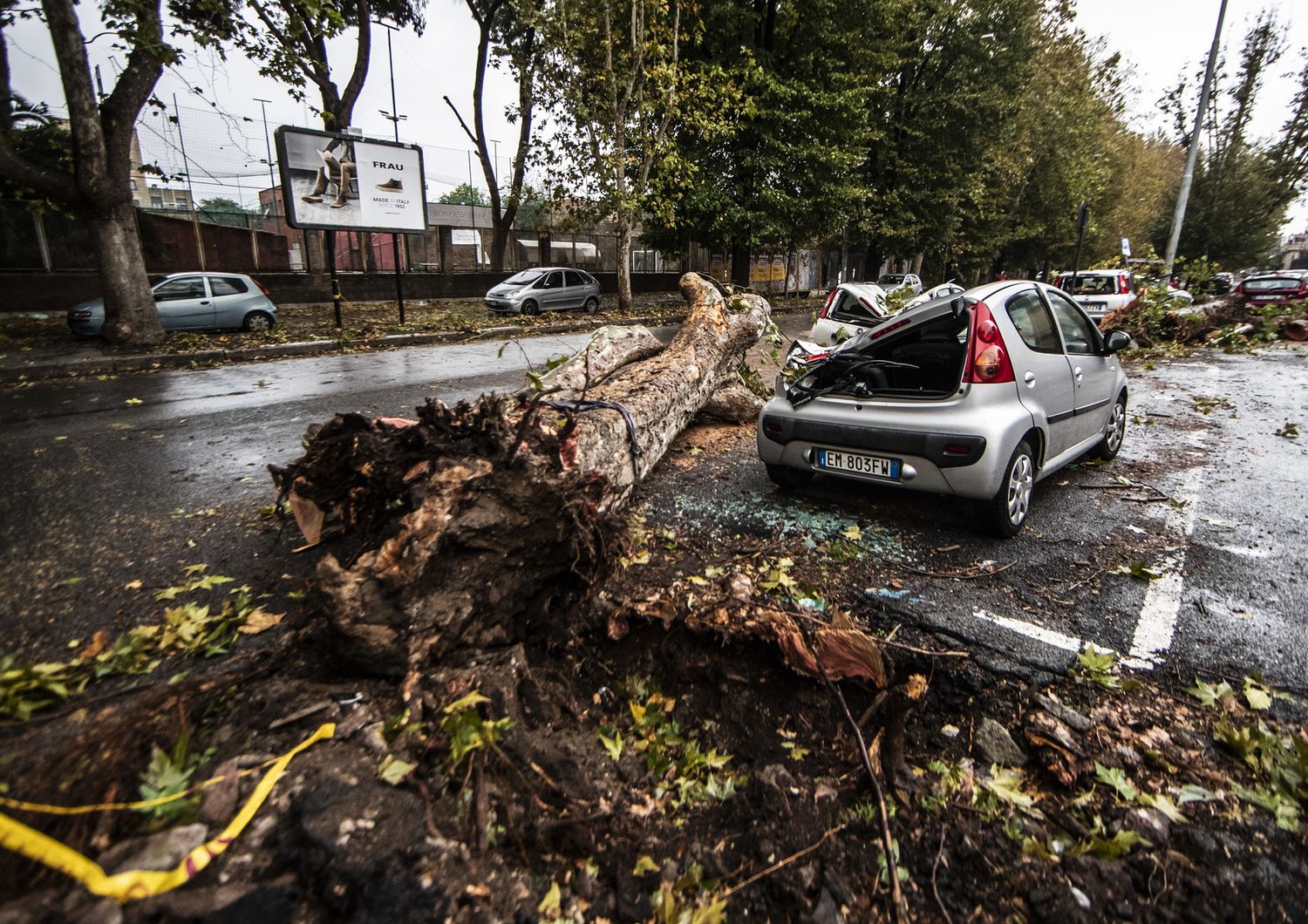 Maltempo a Roma, alcune auto distrutte dal crollo di un albero in via del Policlinico&nbsp;