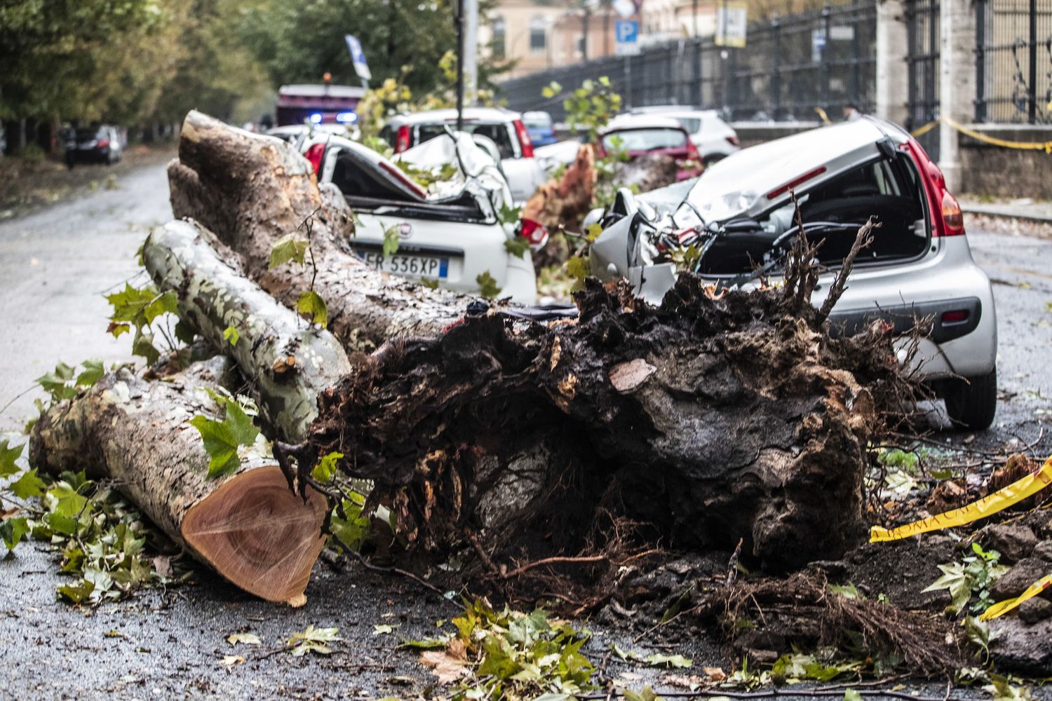 Maltempo a Roma, alcune auto distrutte dal crollo di un albero in via del Policlinico&nbsp;
