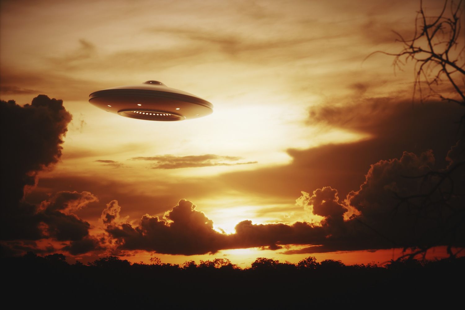 &nbsp;La ricostruzione grafica di un Ufo