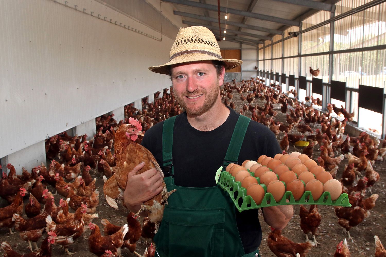 Un allevatore di galline&nbsp;