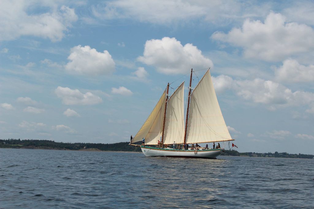 &nbsp;The Blue&nbsp;Dream&nbsp;Project