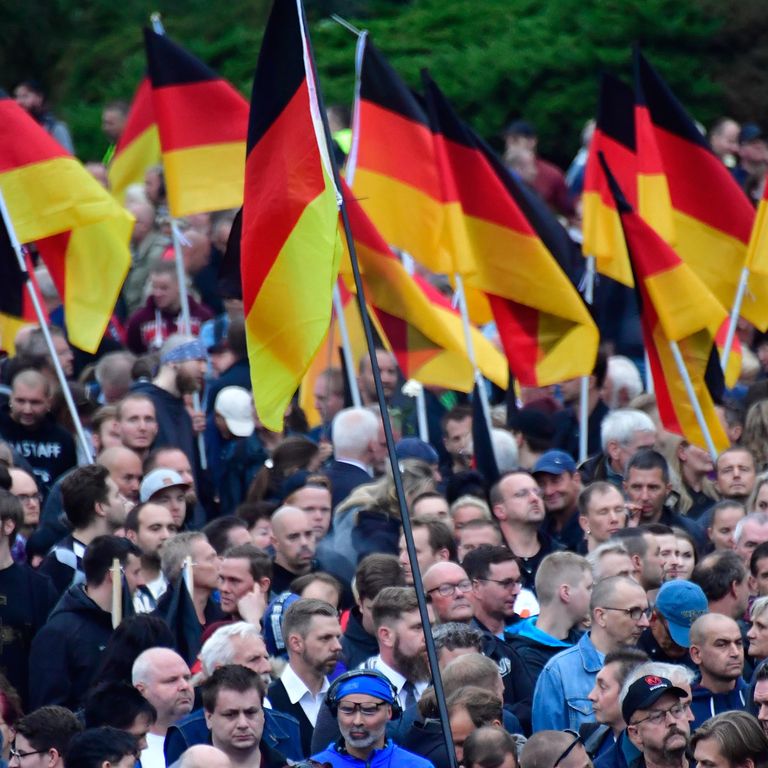 &nbsp;Una manifestazione del partito di estrema destra Afd in Germania
