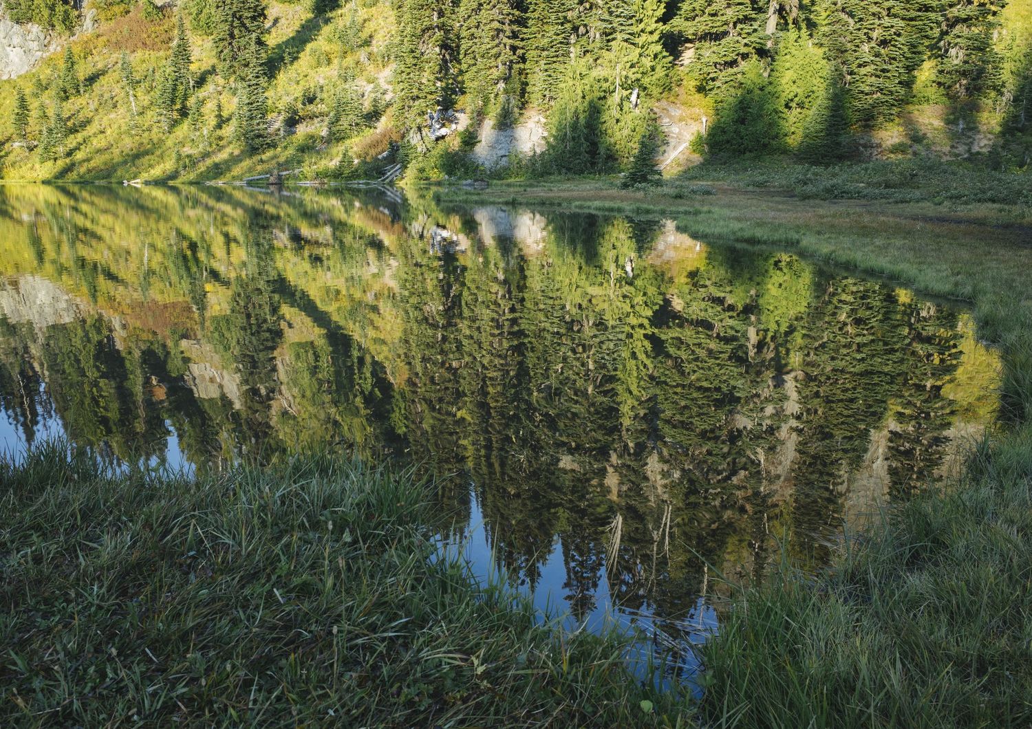 Il parco nazionale di Mount Baker Snoqualmie nello stato di Washington, Usa&nbsp;
