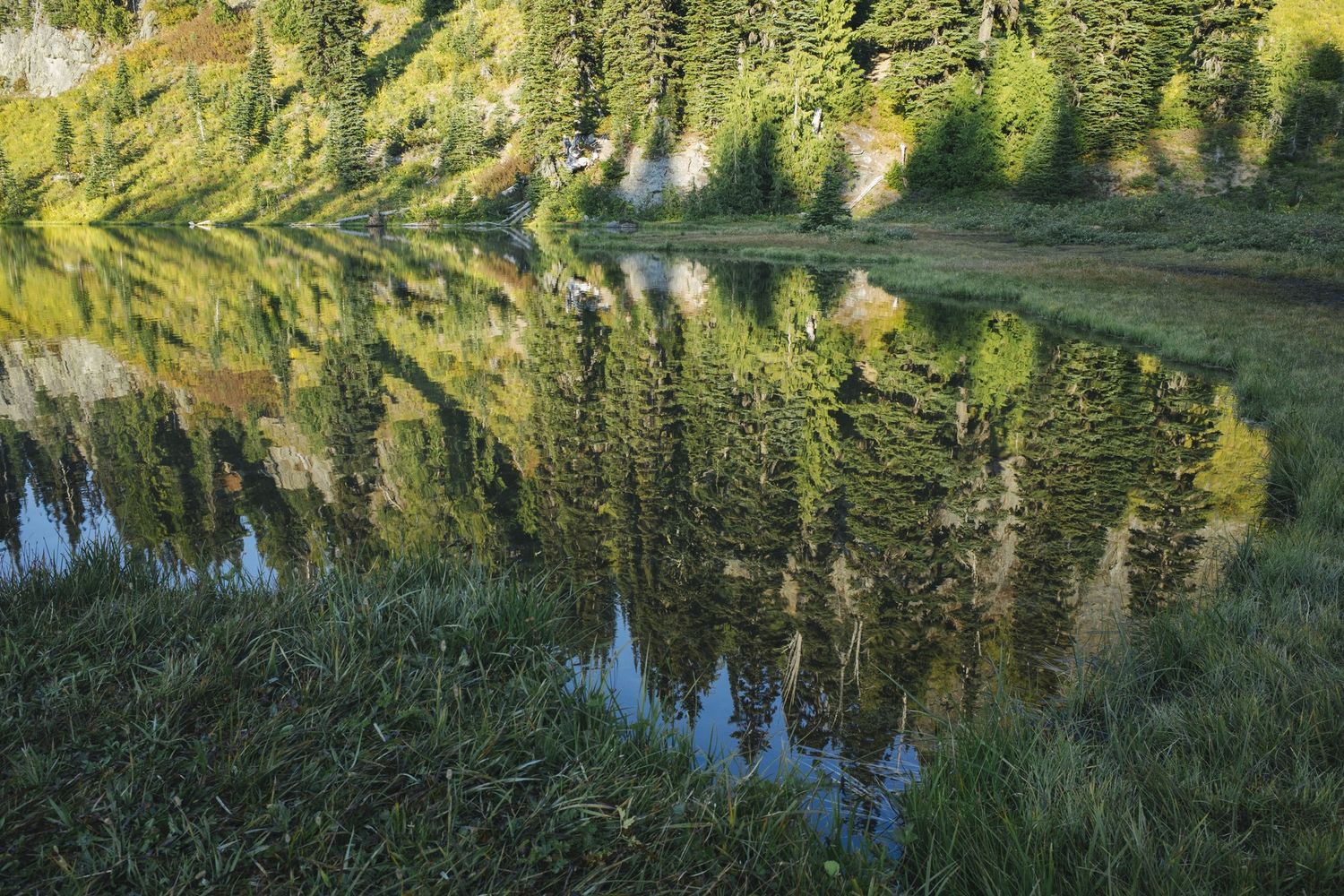 Il parco nazionale di Mount Baker Snoqualmie nello stato di Washington, Usa&nbsp;