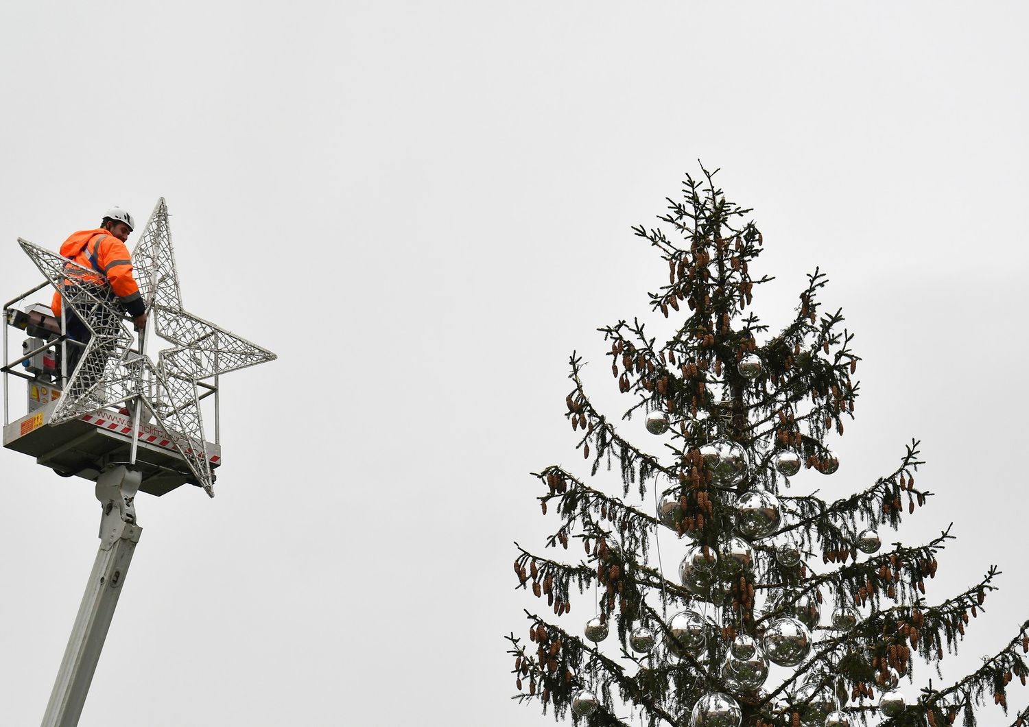 Spelacchio diventa&nbsp;Spezzacchio. Roma ha il suo nuovo albero di Natale