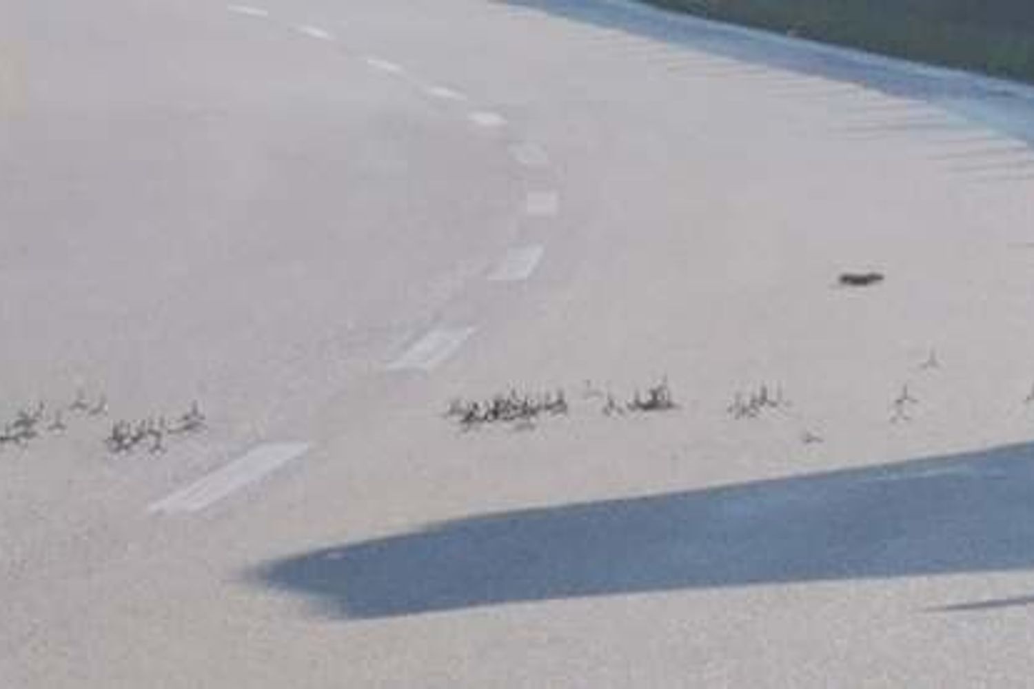 rapina a portavalori, immagine d'archivio