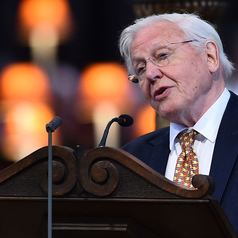 &nbsp;David&nbsp;Attenborough