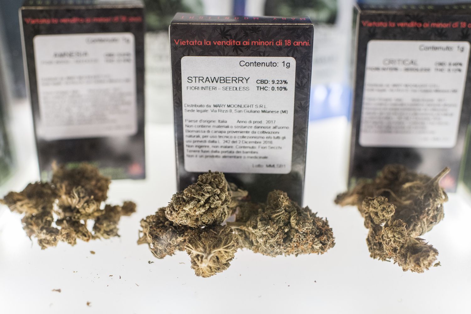 &nbsp;Cannabis terapeutica