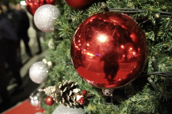 Dopo Spelacchio ecco&nbsp;Seppellacchio, l&#39;albero di Natale voluto da WWF Italia contro il disboscamento