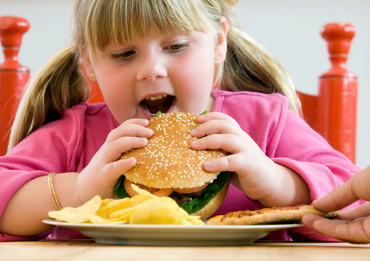 &nbsp;Una rapporto non equilibrato con io cibo da bambini pu&ograve; creare problemi di alimentazione da adulti