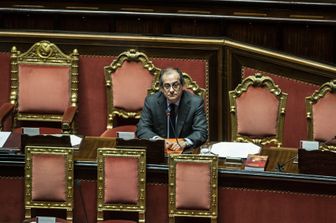 Giovanni Tria in Senato