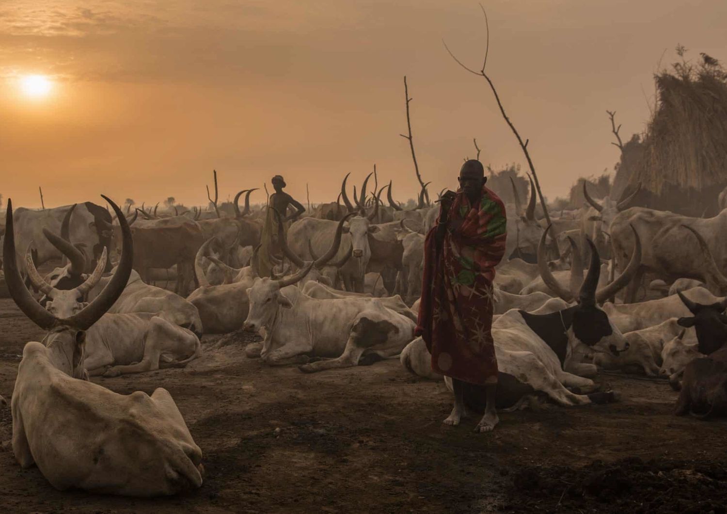 &nbsp;Morning in a cattle camp, South Sudan