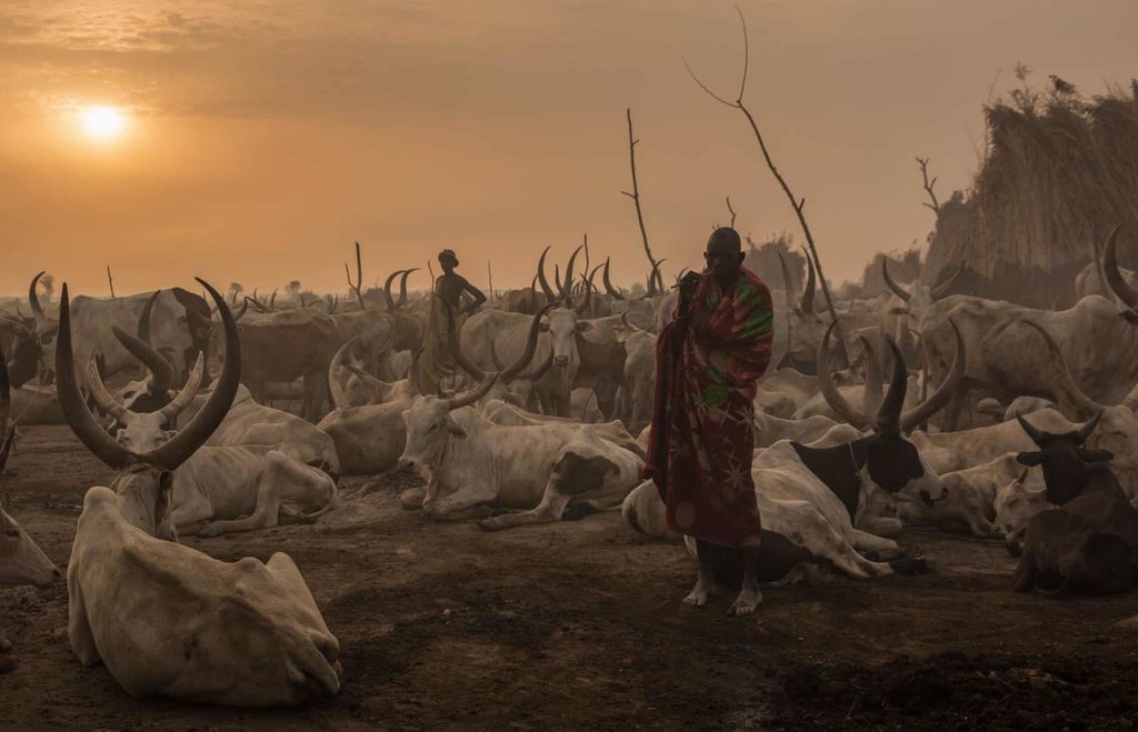 &nbsp;Morning in a cattle camp, South Sudan