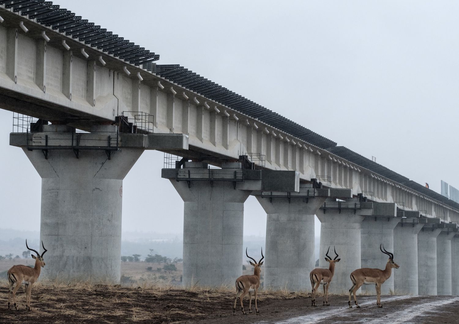 &nbsp;Un ponte in costruzione in Kenya