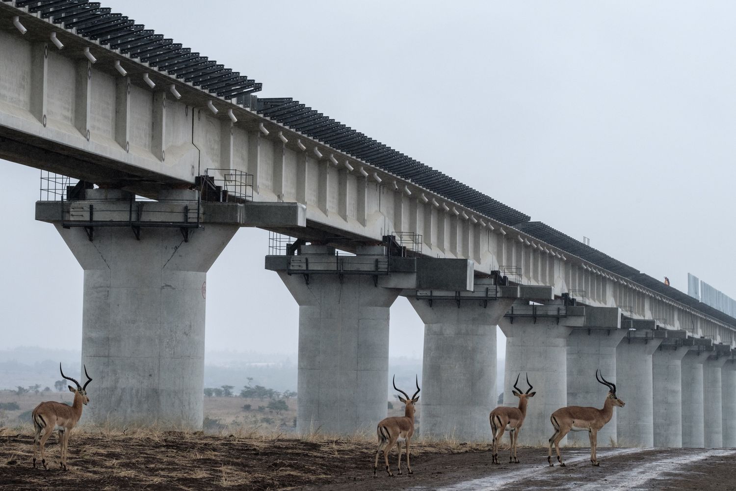 &nbsp;Un ponte in costruzione in Kenya