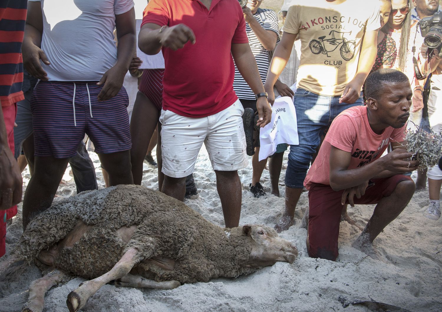 &nbsp;Il sacrificio di una pecora sulla spiaggia di Cape Town, dopo le proteste&nbsp;