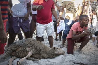 &nbsp;Il sacrificio di una pecora sulla spiaggia di Cape Town, dopo le proteste&nbsp;