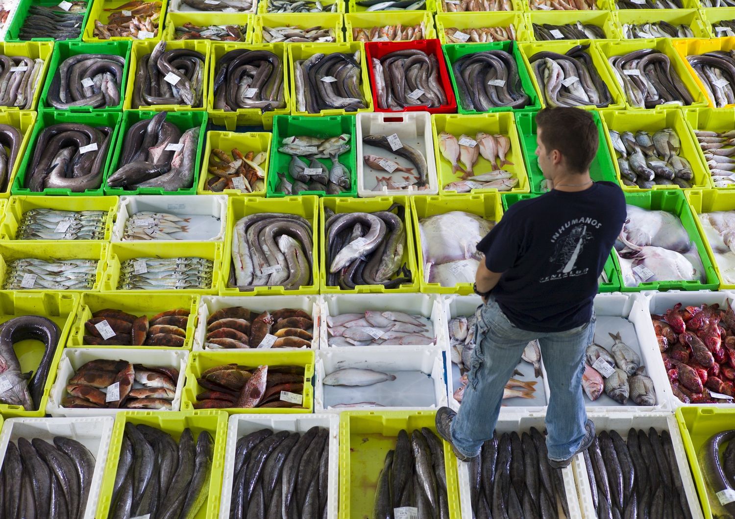 &nbsp;Un pescatore al mercato del pesce di Shanghai&nbsp;