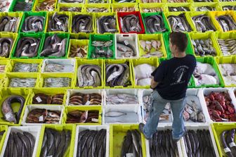 &nbsp;Un pescatore al mercato del pesce di Shanghai&nbsp;