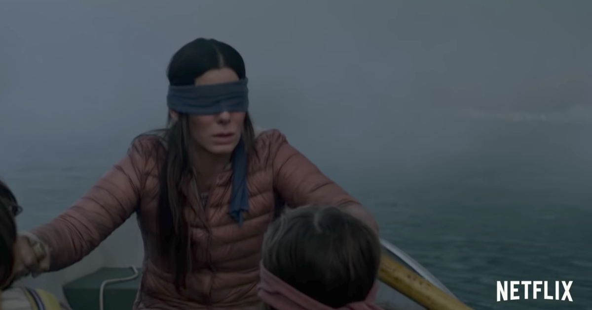 Cos'è il Bird Box Challenge, la sfida di vagare bendati facendosi filmare