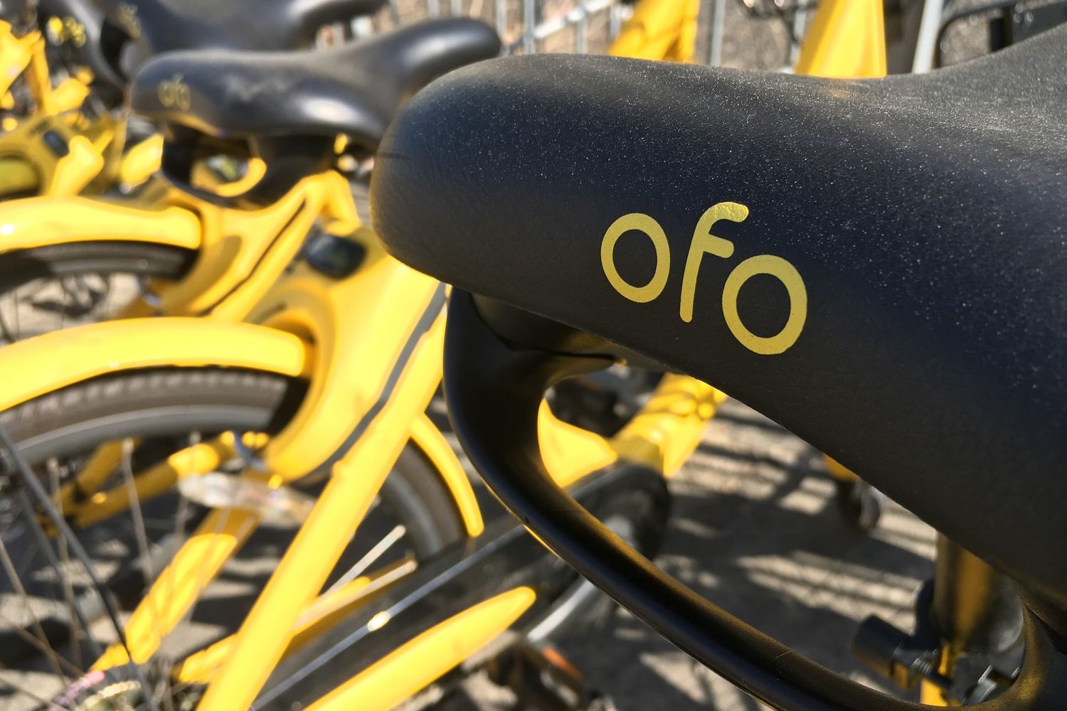 &nbsp;&nbsp;Ofo