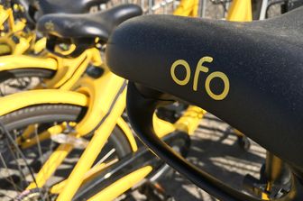 &nbsp;&nbsp;Ofo