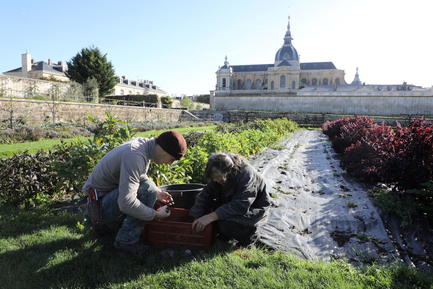 &nbsp;&nbsp;Giardinieri di Versailles&nbsp;