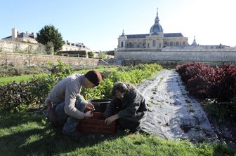 &nbsp;&nbsp;Giardinieri di Versailles&nbsp;