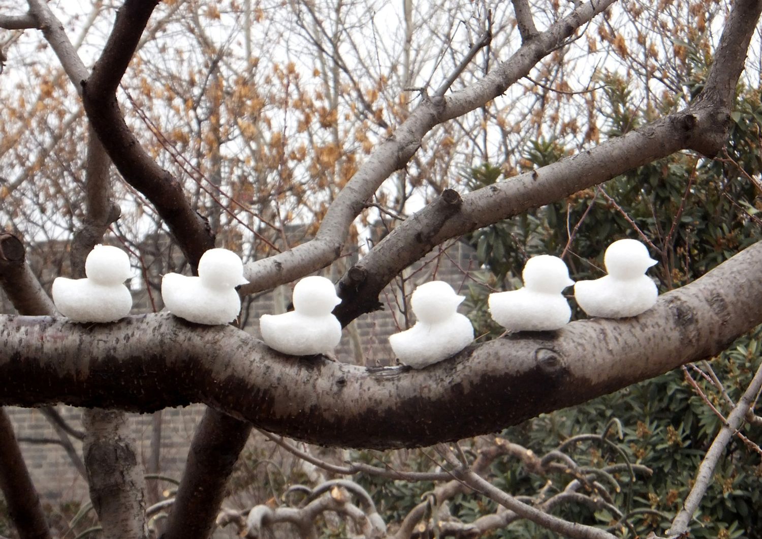 Paperelle di neve fatte come buon auspicio dagli abitanti di Kaifeng nello Henan