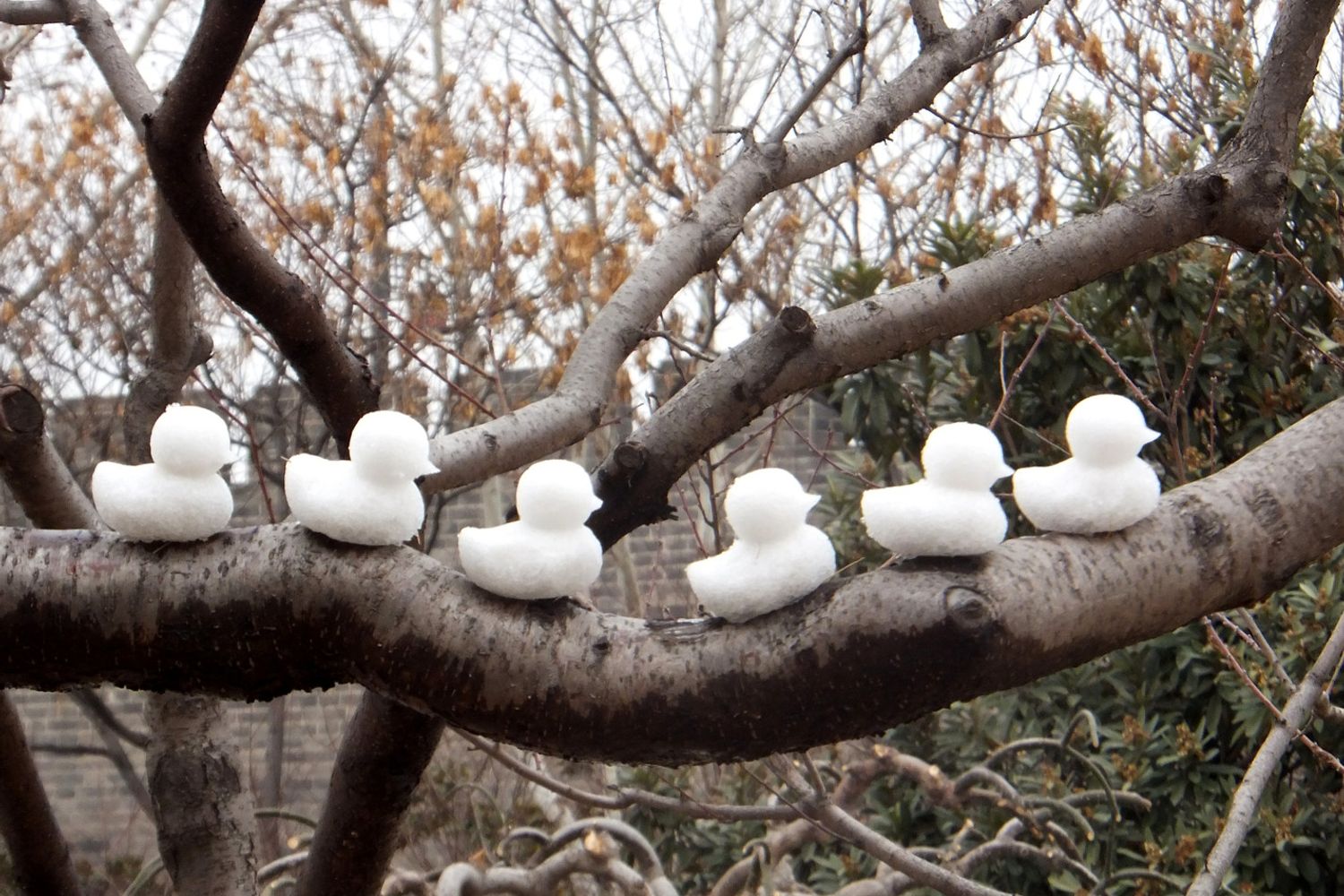 Paperelle di neve fatte come buon auspicio dagli abitanti di Kaifeng nello Henan