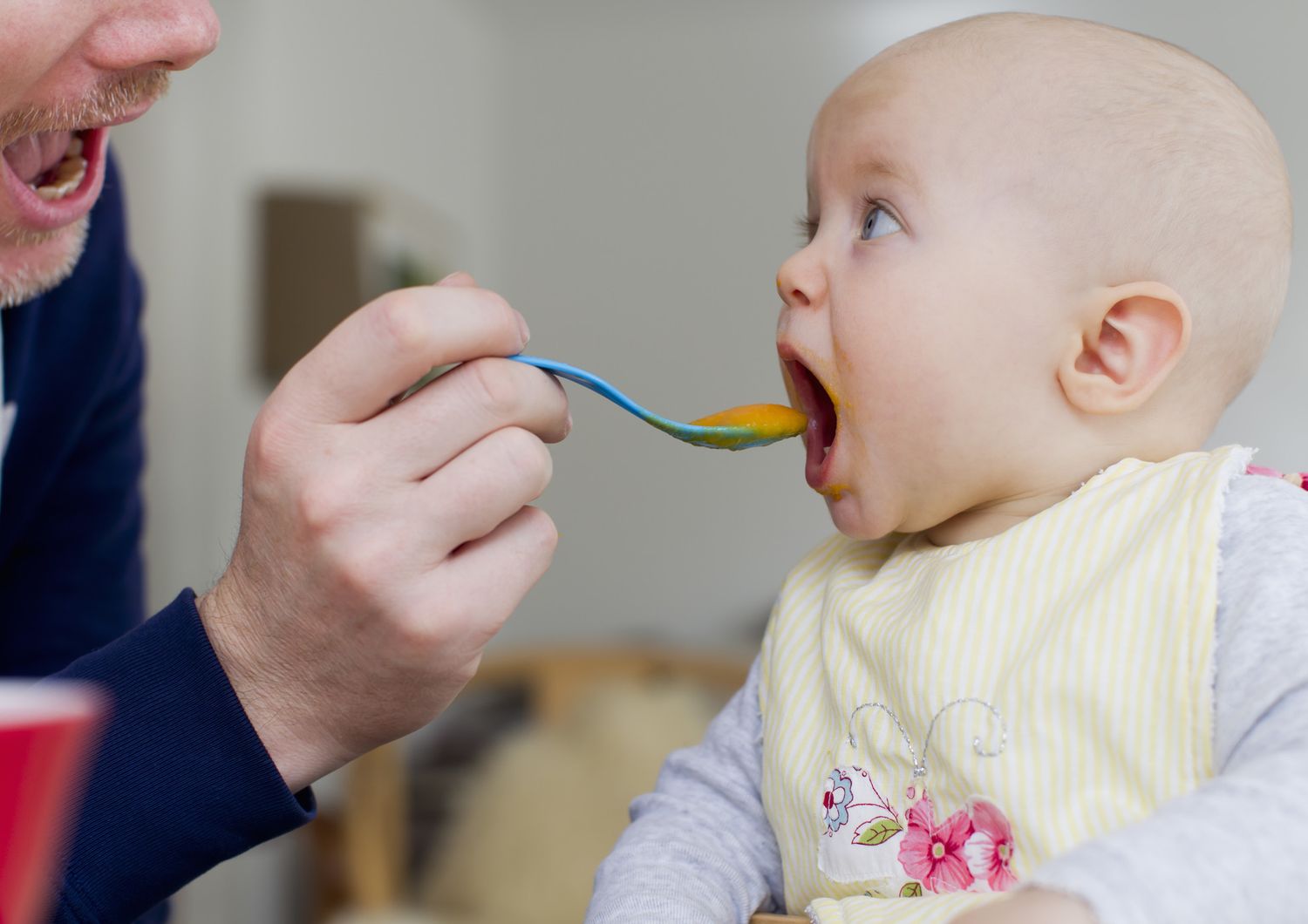 Negli Stati Uniti vanno di moda le pappe naturali fatte in casa all&#39;italiana