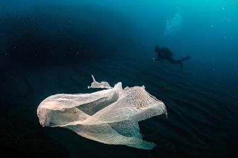 &nbsp;&nbsp;Plastica, Mare Mediterraneo&nbsp;