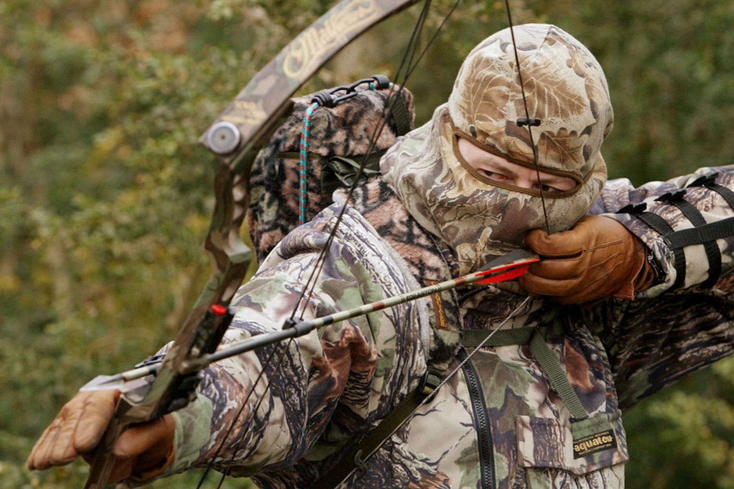 Caccia al cinghiale con l'arco&nbsp;