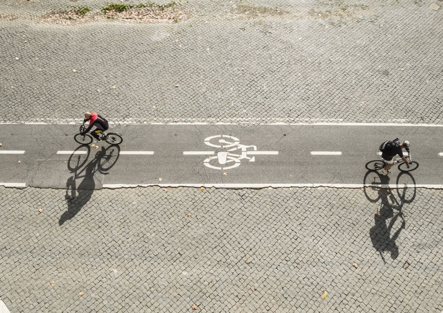 Roma, biciclette sul Lungotevere