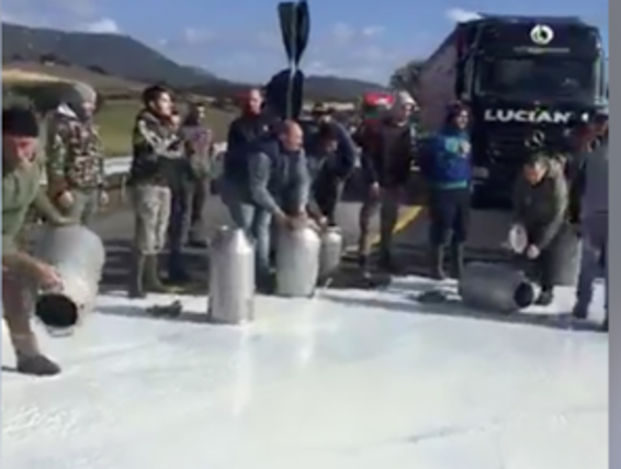 Protesta dei pastori sardi a Berchidda nel Sassarese