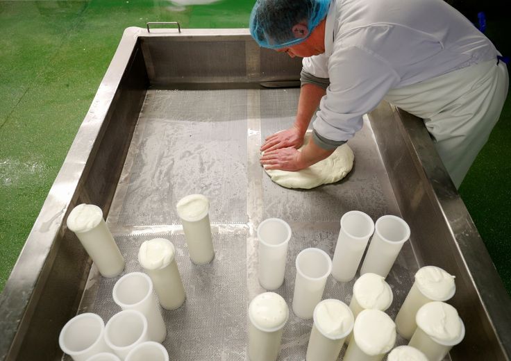Laverstoke&nbsp;Park&nbsp;Farm, caseificio dove si produce mozzarella di bufala