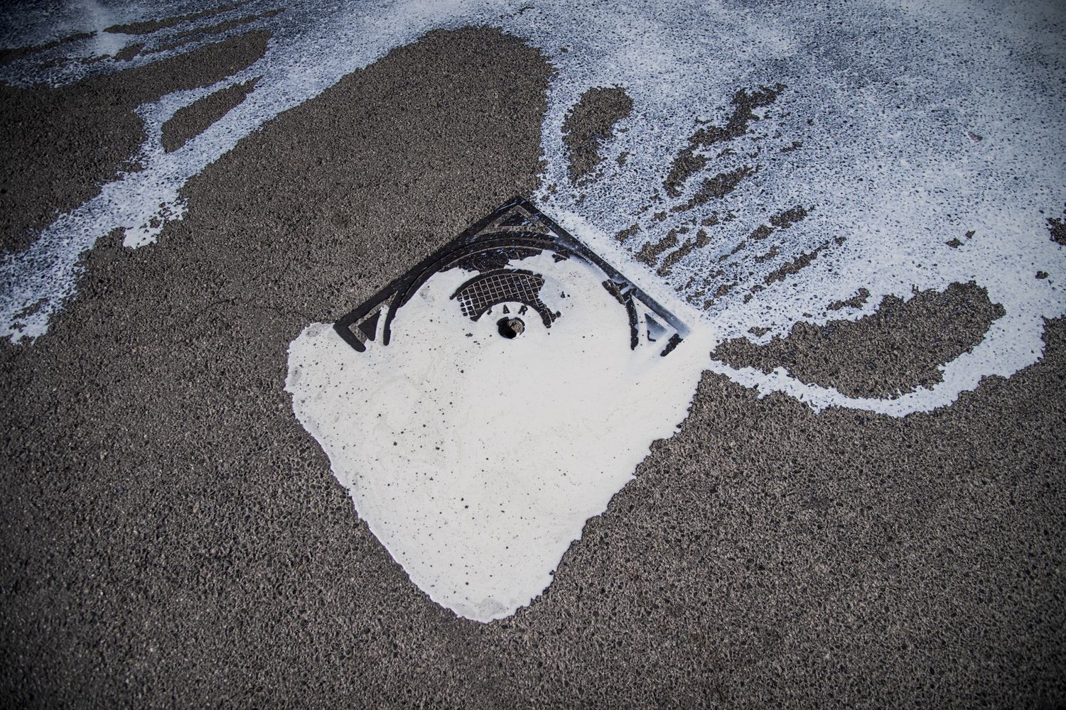 Protesta per il latte