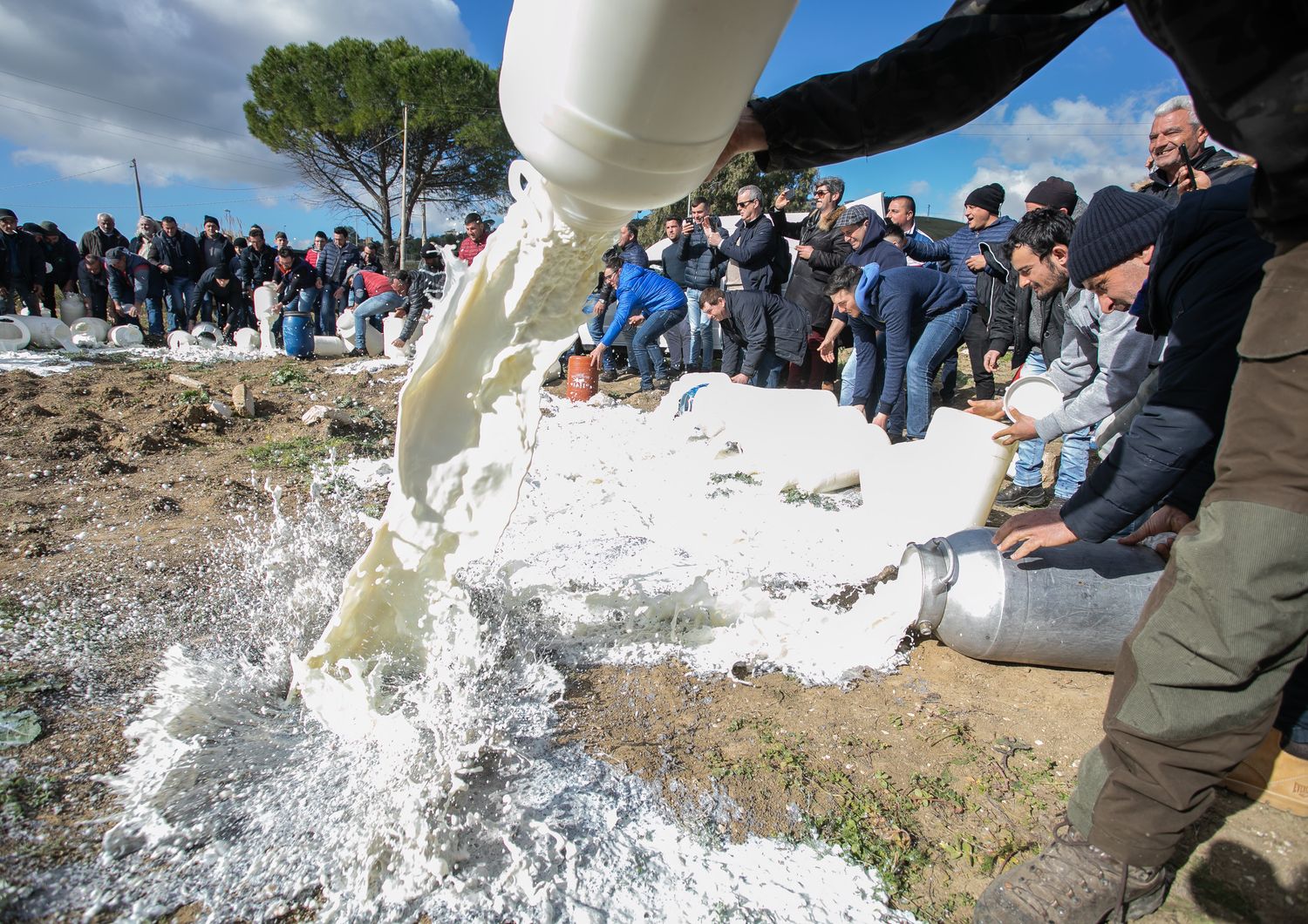 Protesta dei pastori per il prezzo del latte