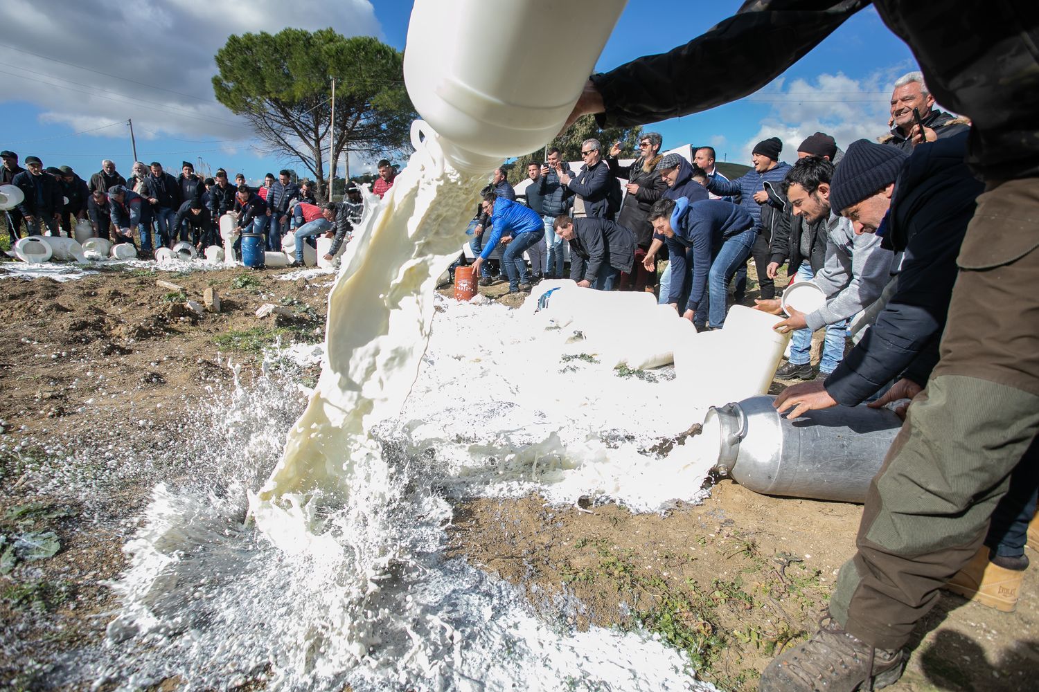 Protesta dei pastori per il prezzo del latte