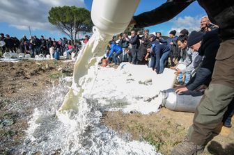 Protesta dei pastori per il prezzo del latte