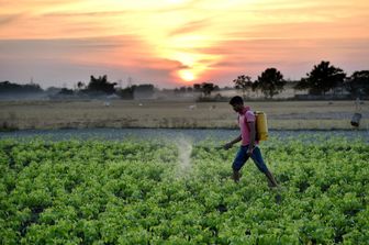 Pesticidi in agricoltura