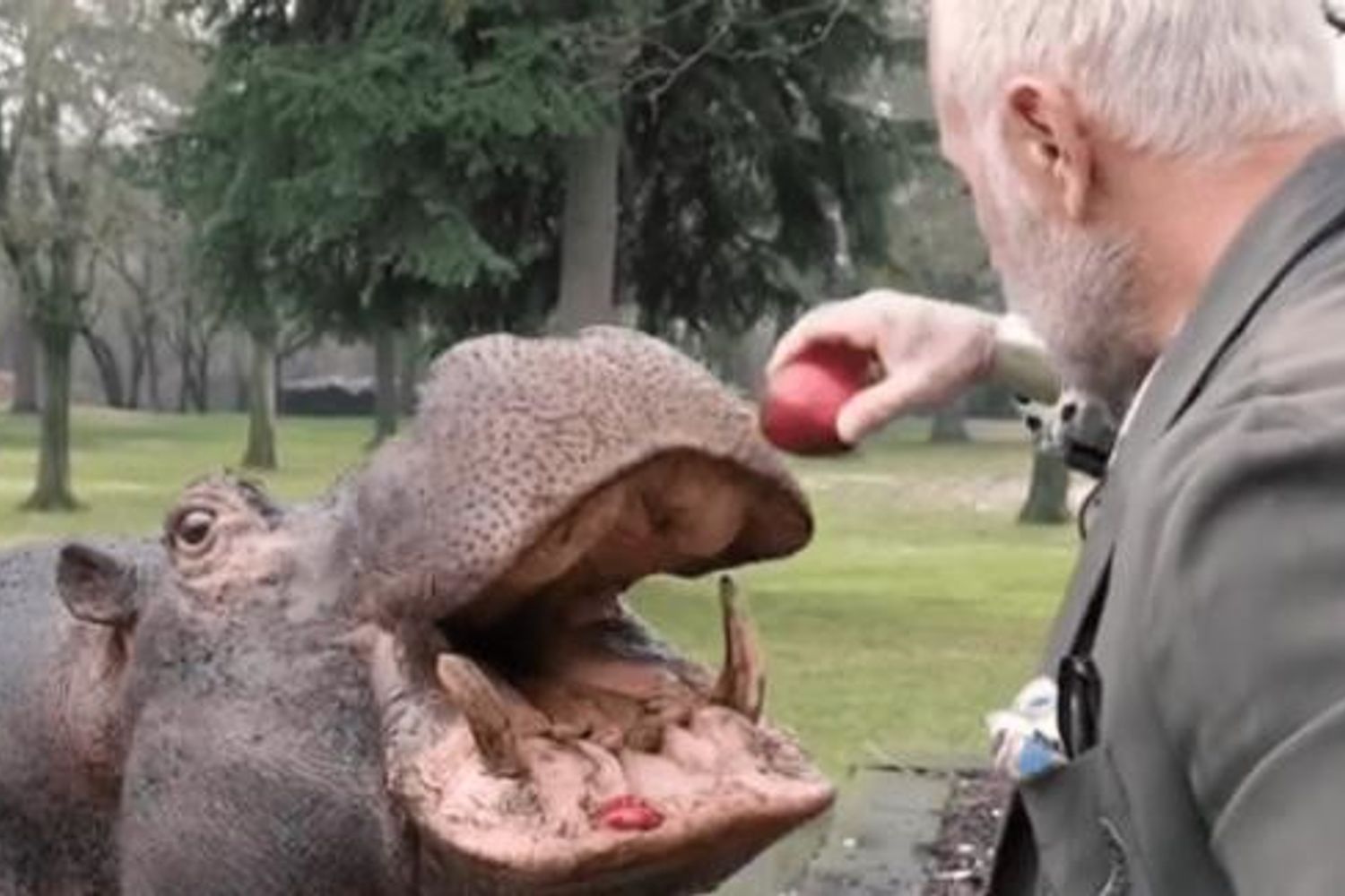 Gianluca Vacchi con l'ippopotamo