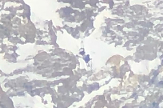 La foto scattata da Alex Txikon mostra i corpi di Nardi e Ballard