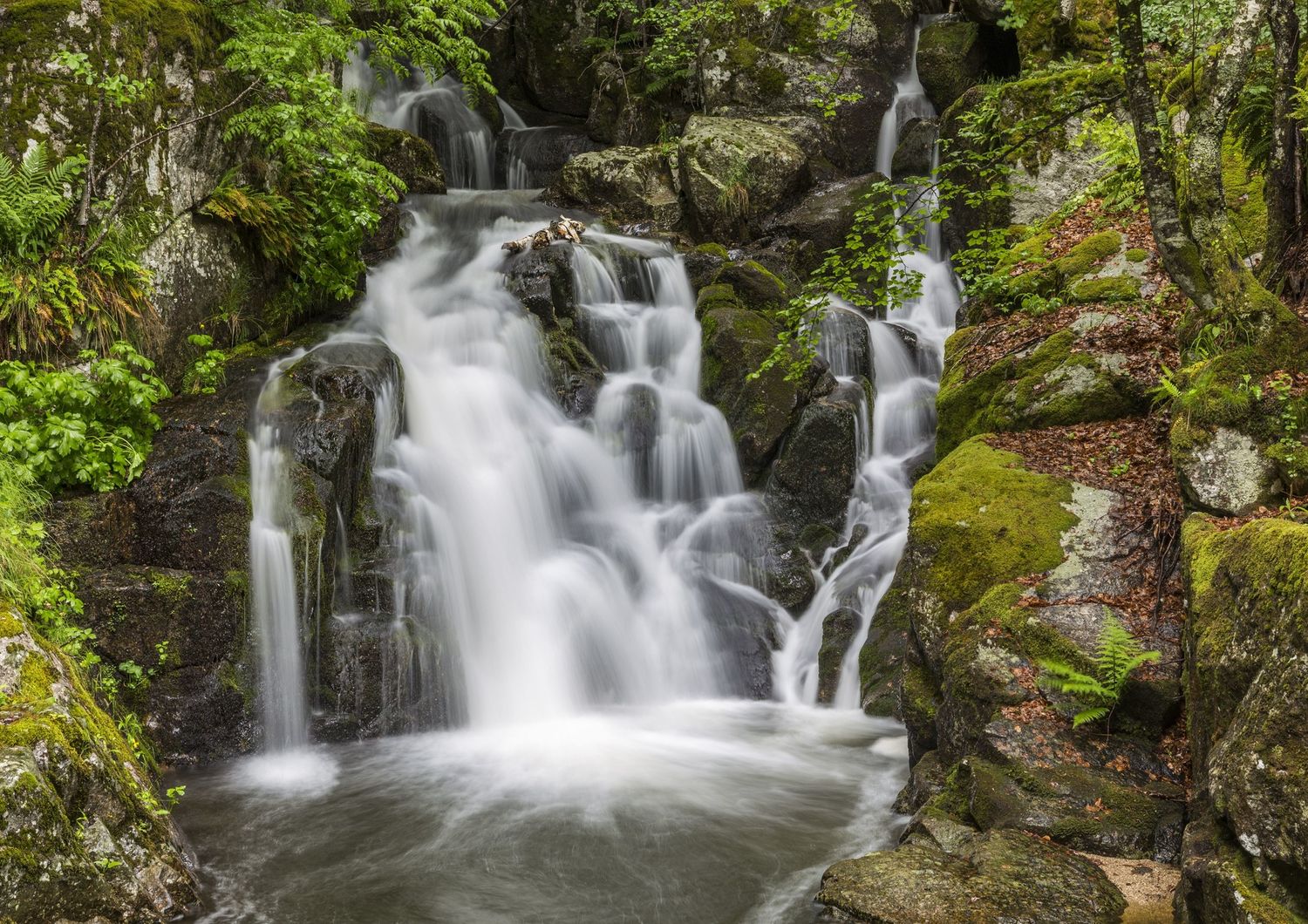 La cascata nel parco naturale di Cevennes, in Francia