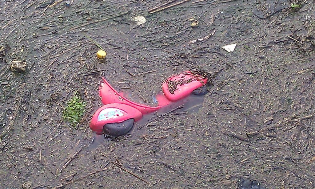 Inquinamento da plastica