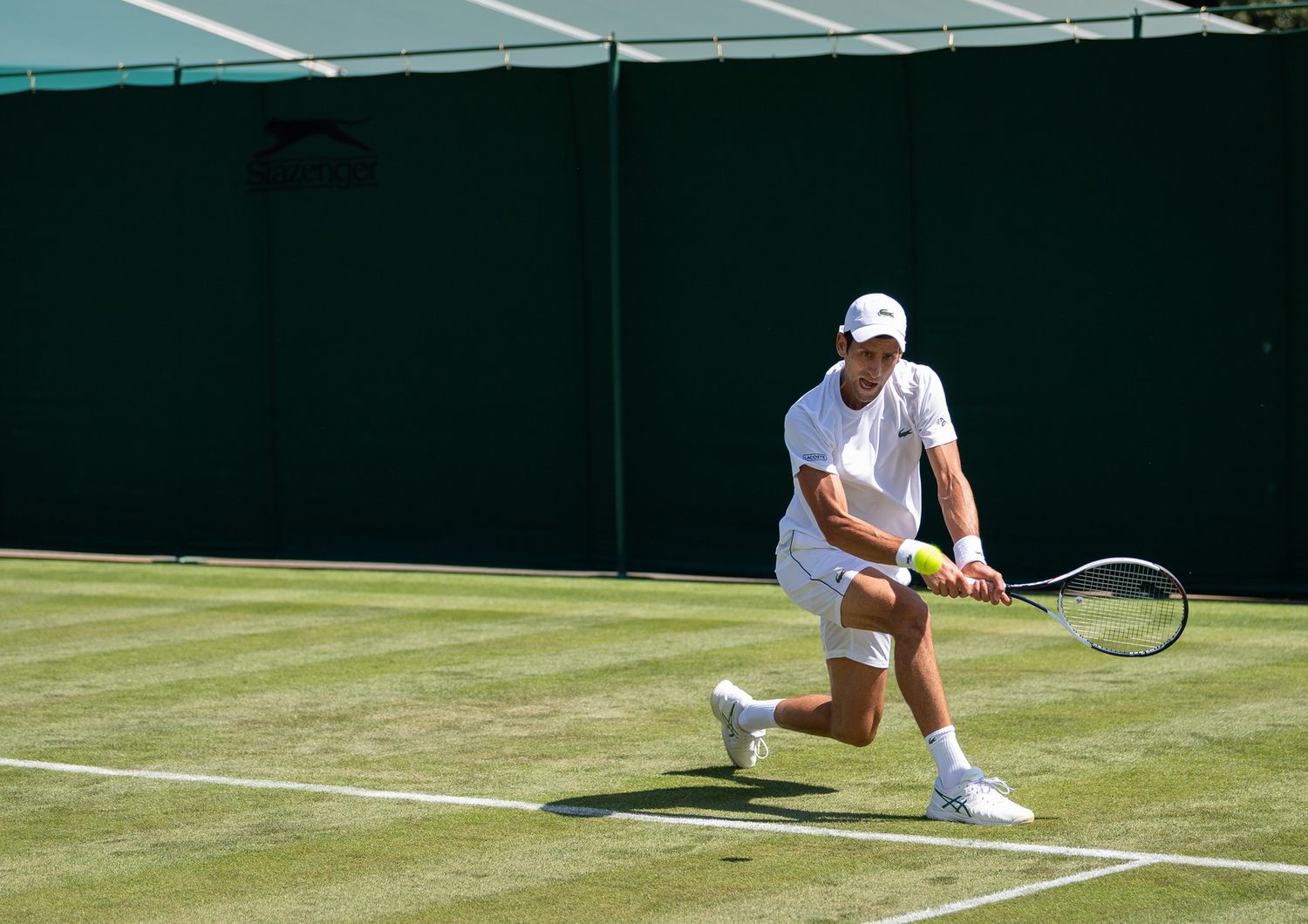 Novak Djokovic sui campi di Wimbledon