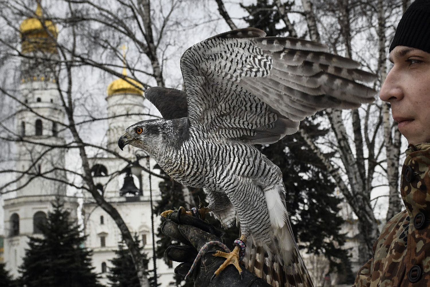 &nbsp;Alpha, il falco che vigila sulla sicurezza del Cremlino (Alexander Nemenov/AFP)